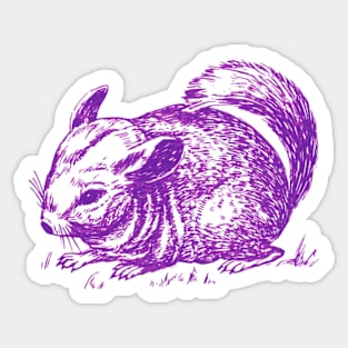 chinchilla purple Sticker